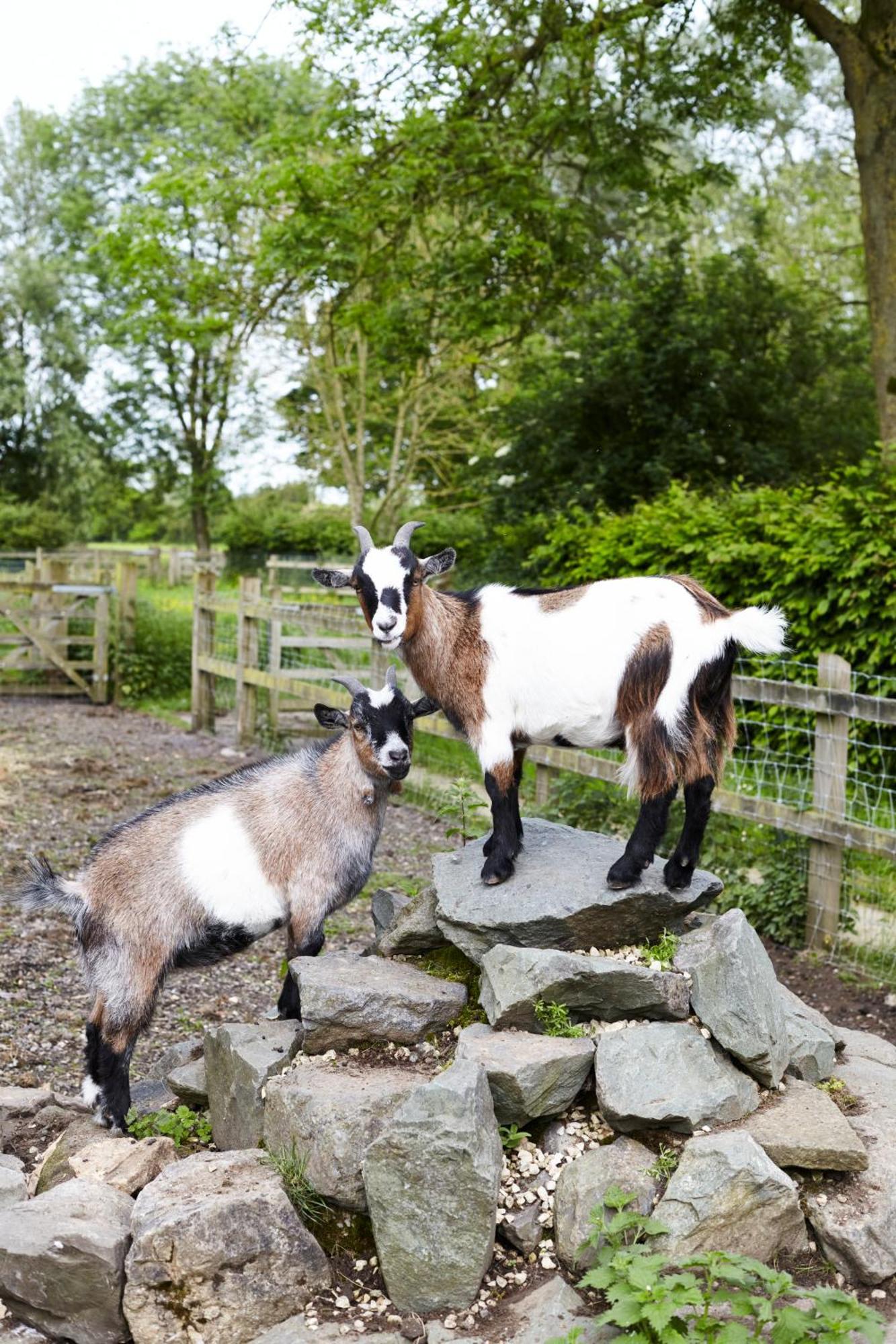 Paradise Farm Halesworth Buitenkant foto