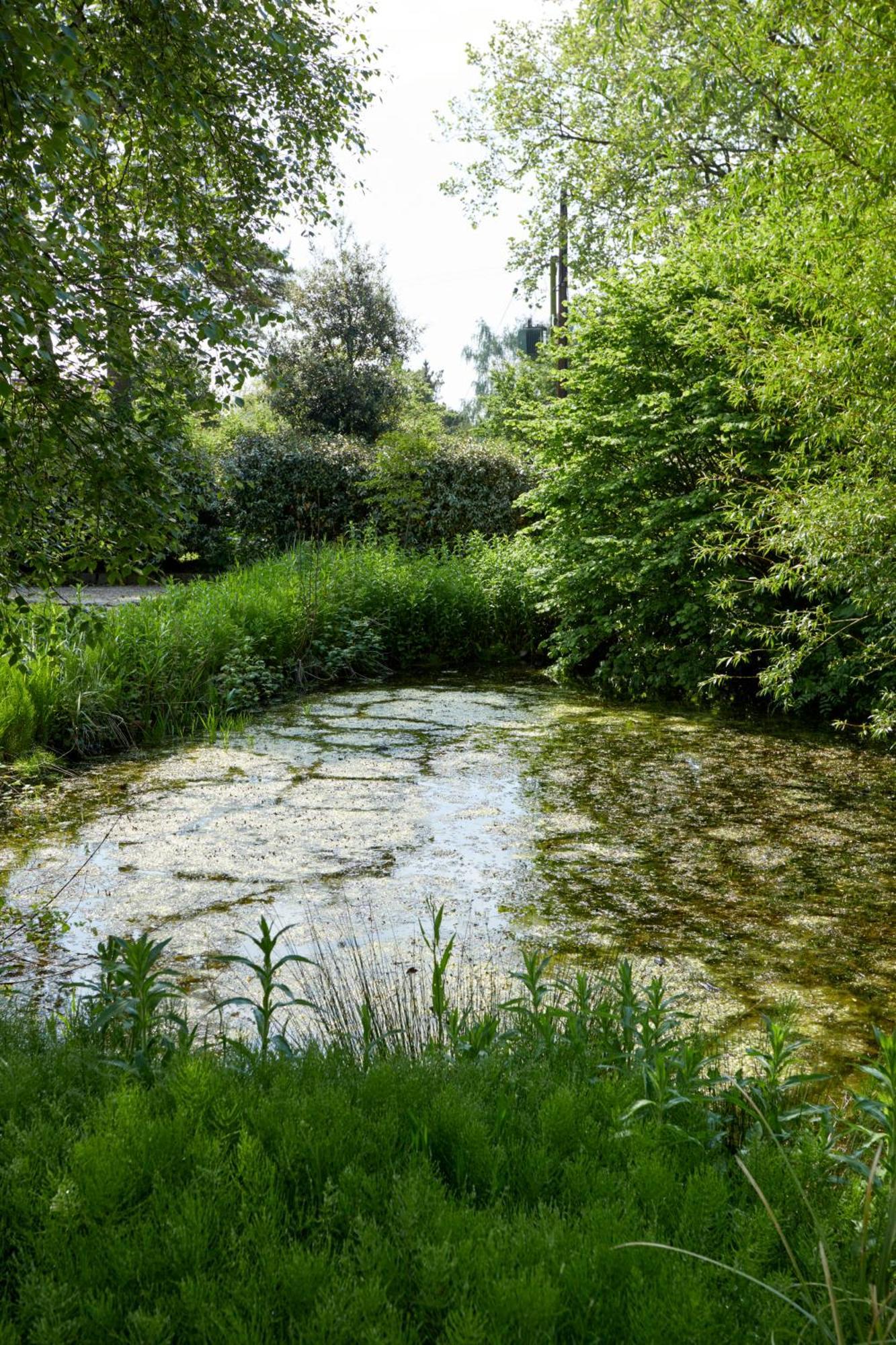 Paradise Farm Halesworth Buitenkant foto